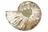 Cut & Polished Ammonite Fossil (Half) - Madagascar #191639-1